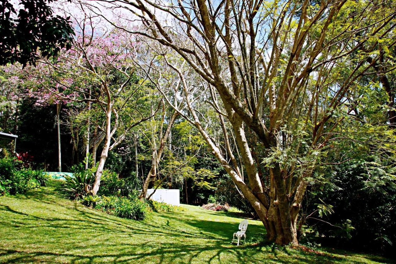 Maleny Monet Studio Buitenkant foto